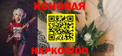apvp Партизанск