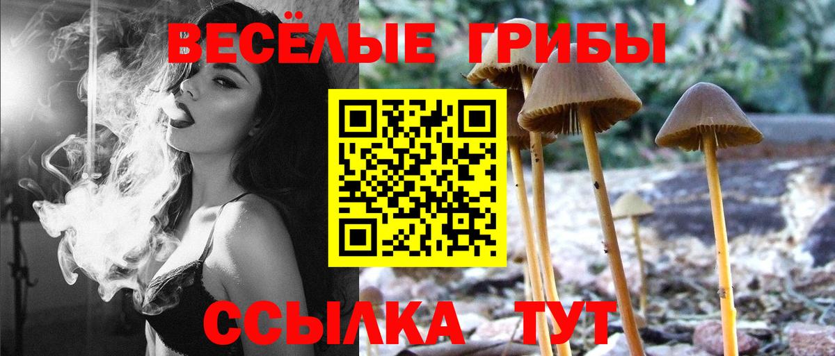 Псилоцибиновые грибы прущие грибы Полевской