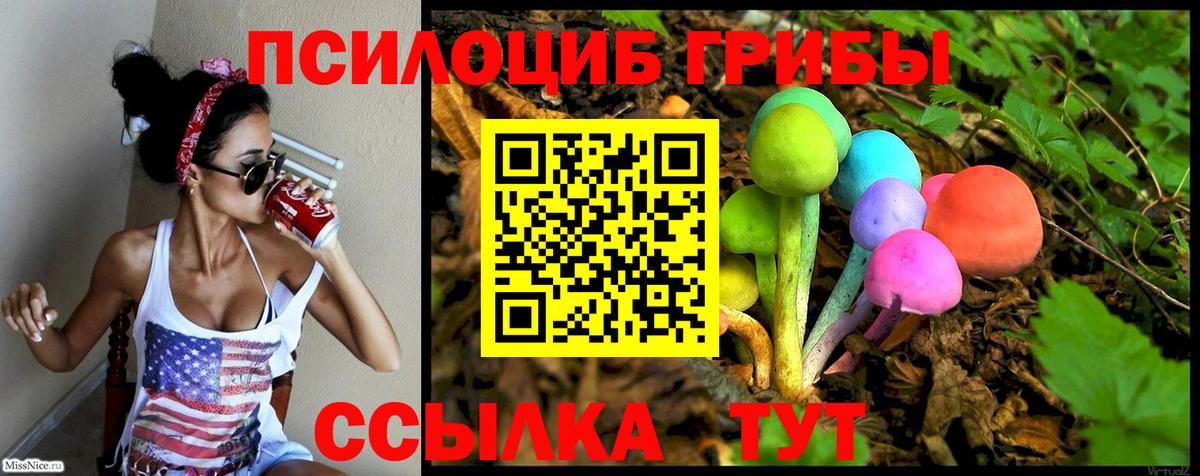 Полевской  сколько стоит  Вход с VPN  Галлюциногенные грибы прущие грибы 